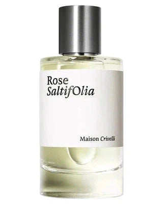 Rose Saltifolia