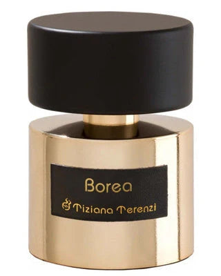 Borea