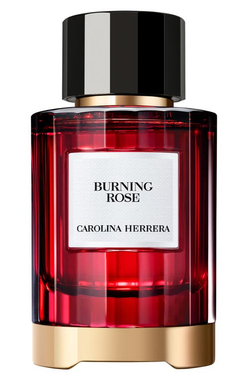 Burning Rose