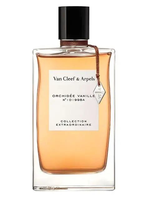 Orchidee Vanille