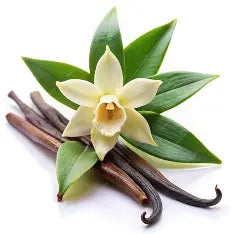 Vanilla